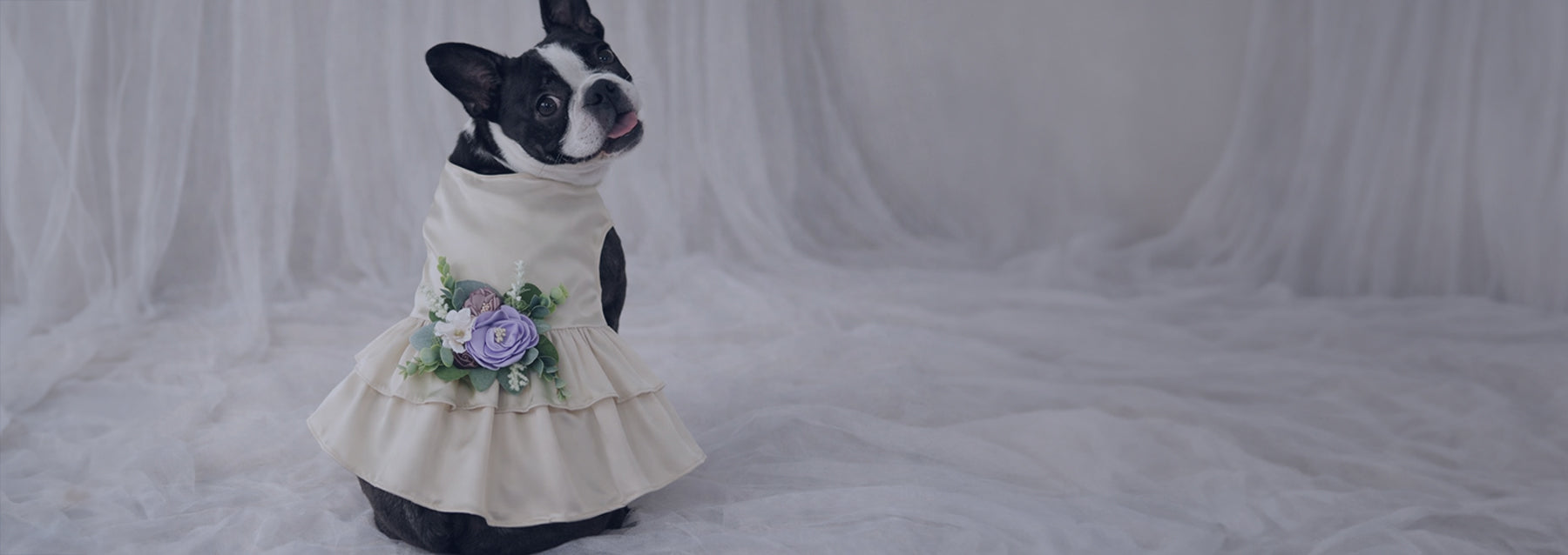 Formal Dresses for Dogs and Cats | House Of FurBaby Formal Dresses for Dogs and Cats | House Of FurBaby