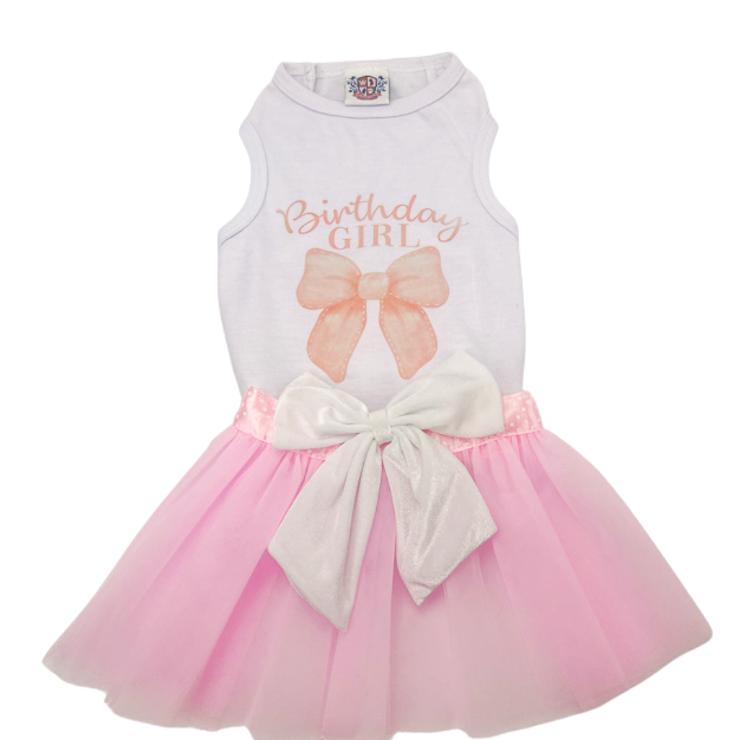 coquette birthday dress Coquette Bow Princess Mini Dress