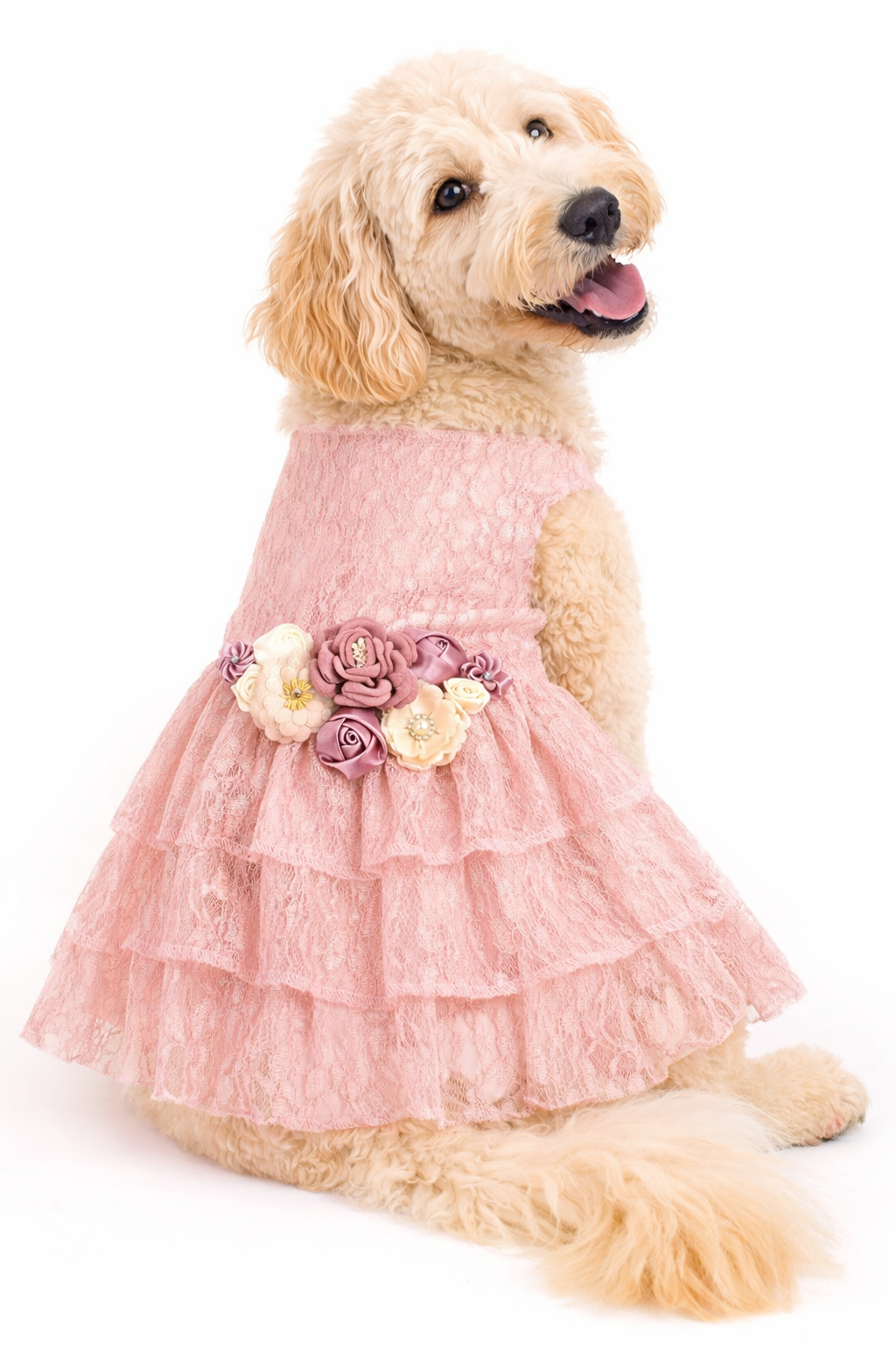 formal dog dresses Dress you need to measure Size:S (US 4 / UK 8) Classic H&M black tube 11.16.23-dress-deal