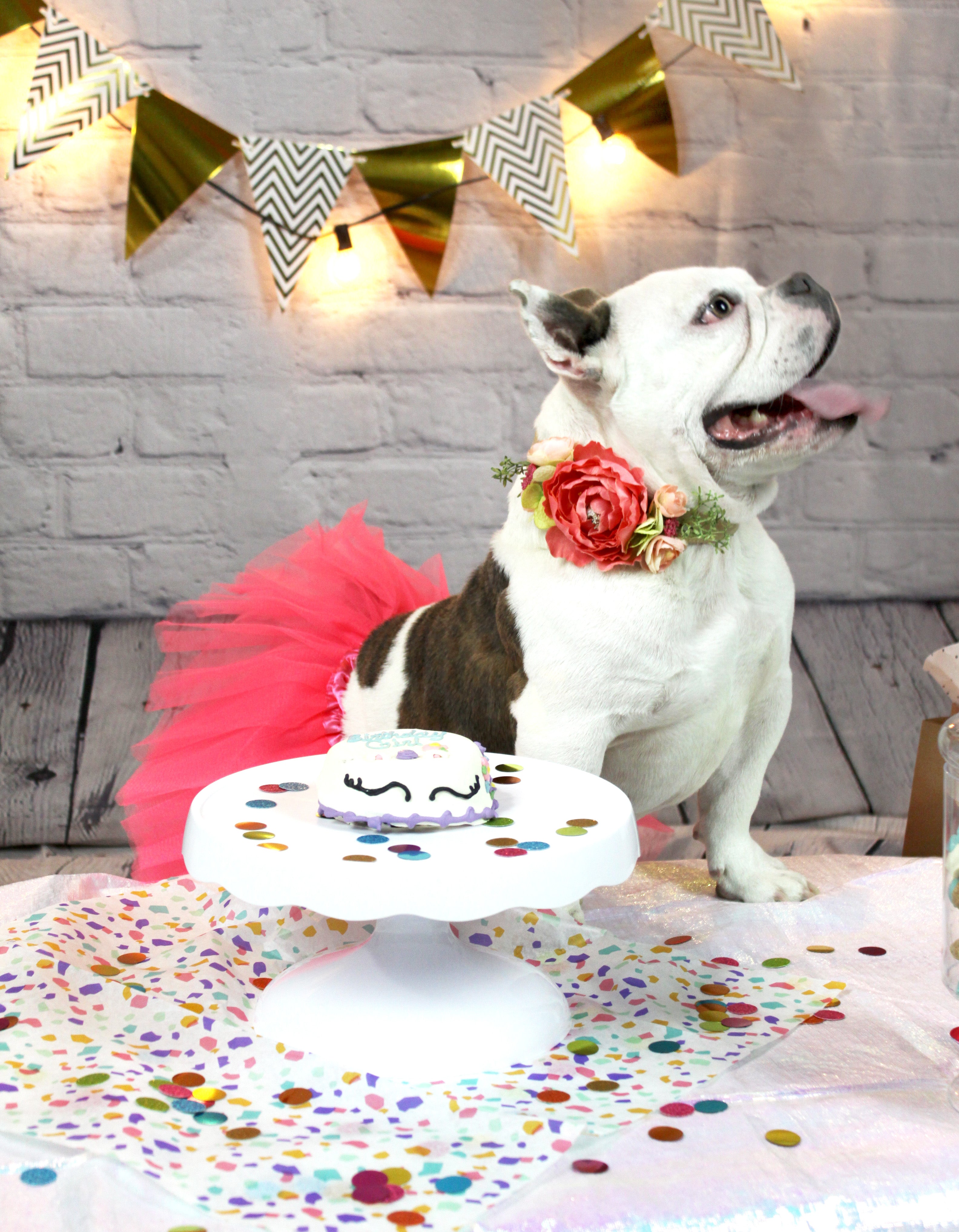 Quarantine Birthday Celebrations