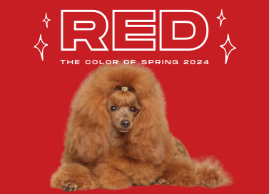 We’re Seeing RED…thanks to Vogue!