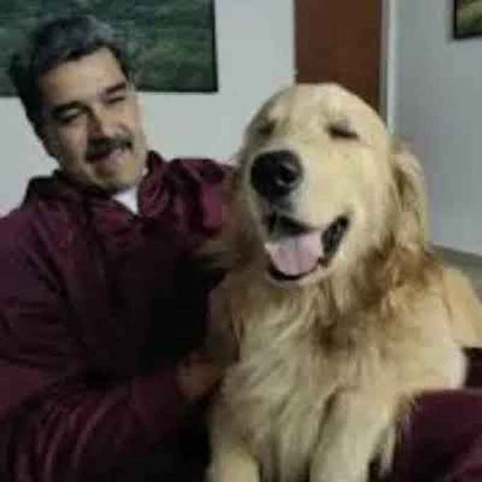 How Maduro's family dog Jako unknowingly aided in the Venezuelan President's arrest