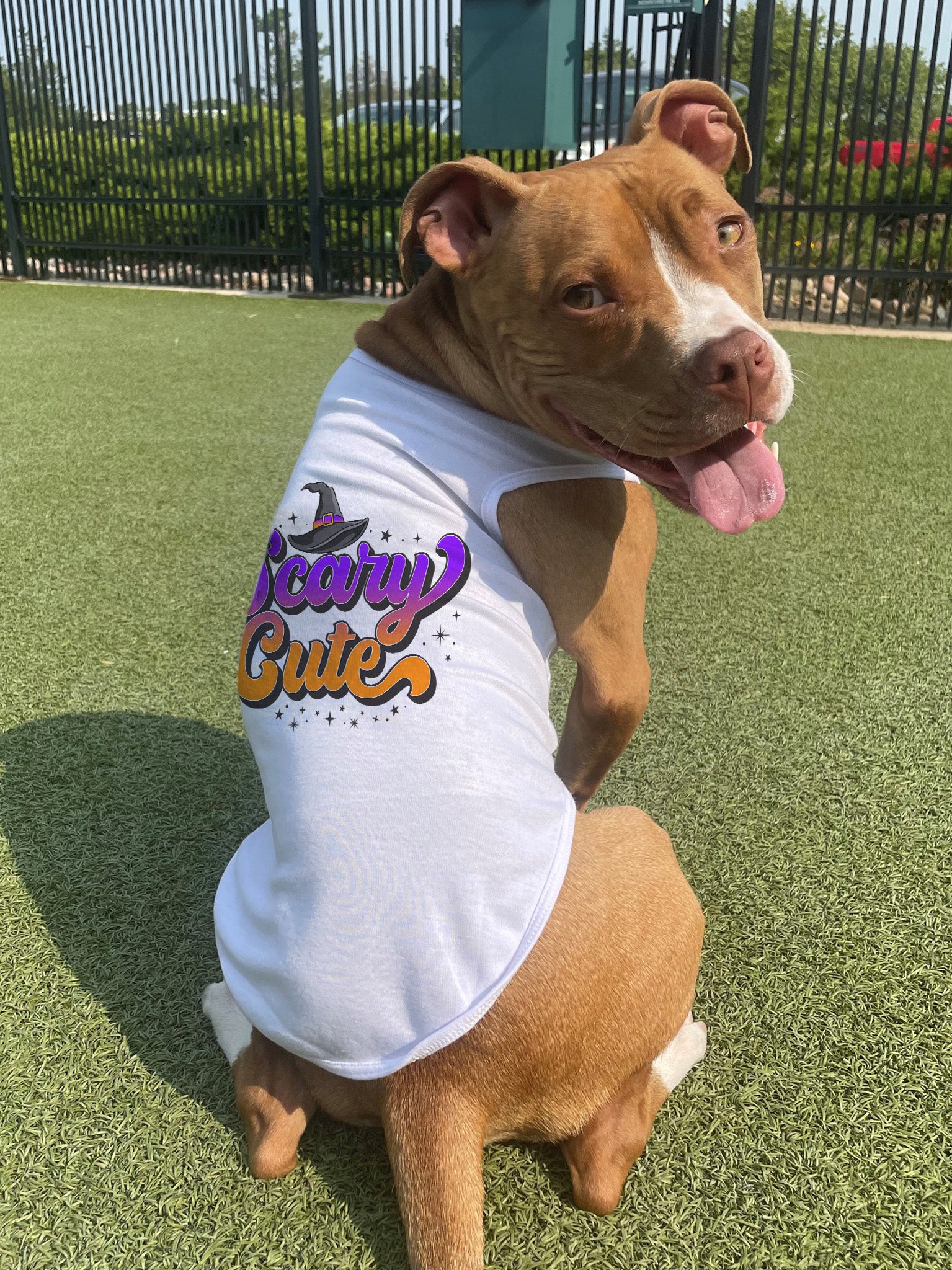 5 Reasons Why Our Halloween Tees Are Better Than Costumes