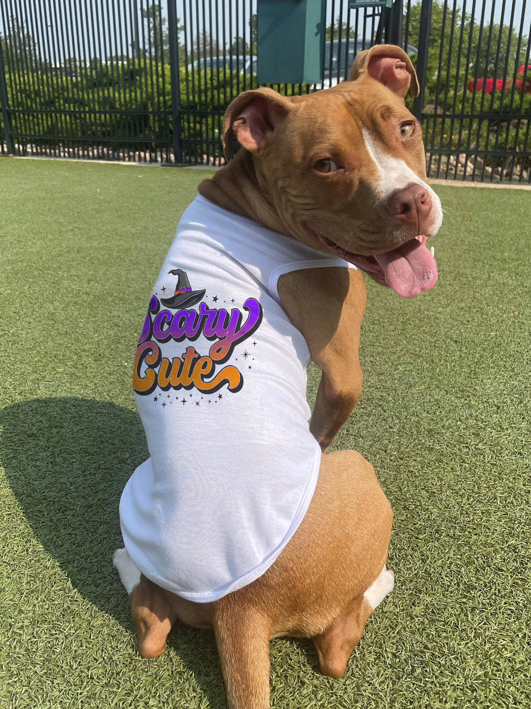 5 Reasons Why Our Halloween Tees Are Better Than Costumes