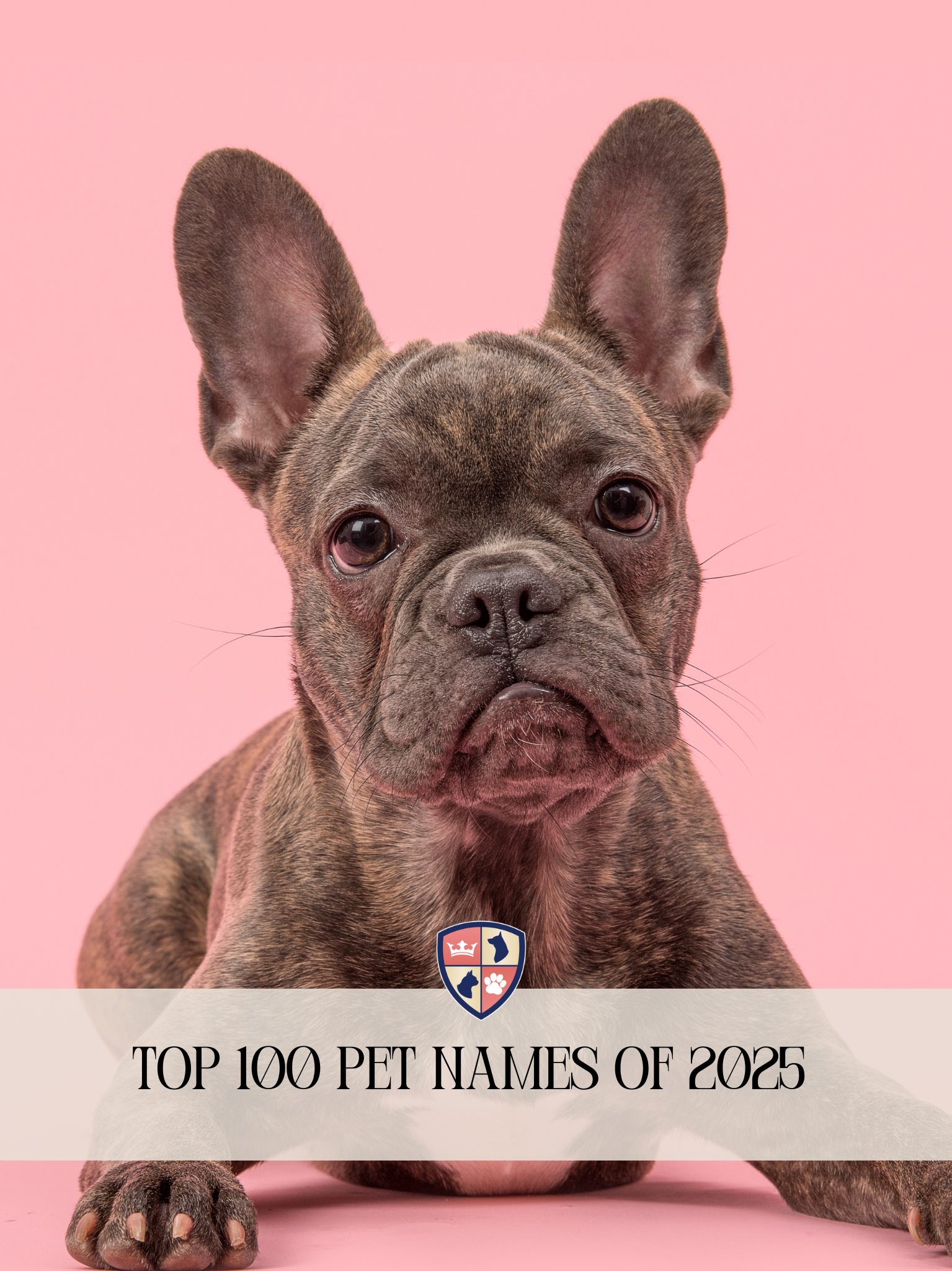 Top 100 Pet Names of 2025