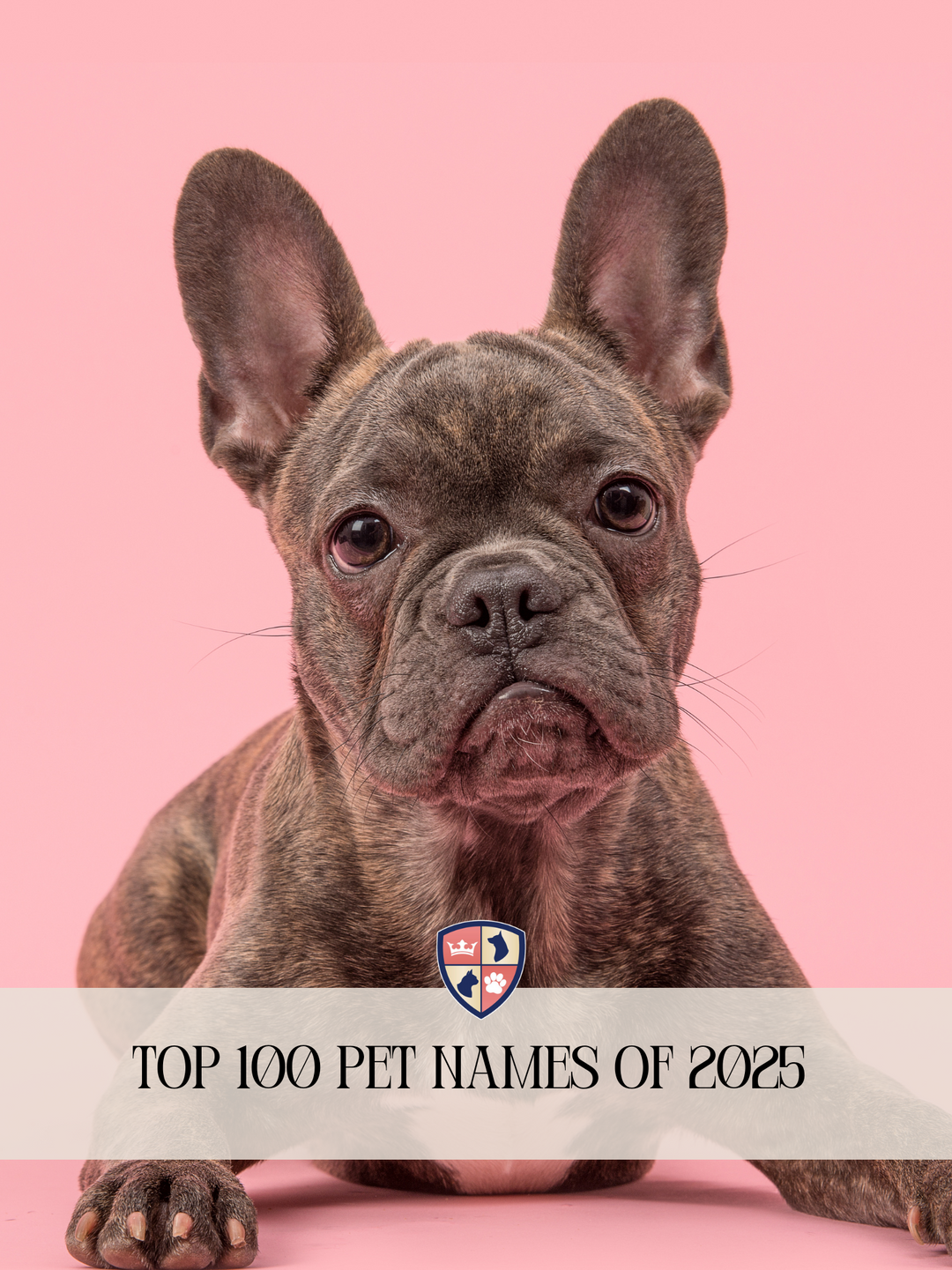 Top 100 Pet Names of 2025