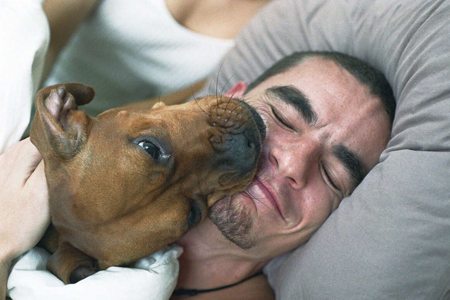 Why dogs lick their paws, and 3 other strange habits dogs have