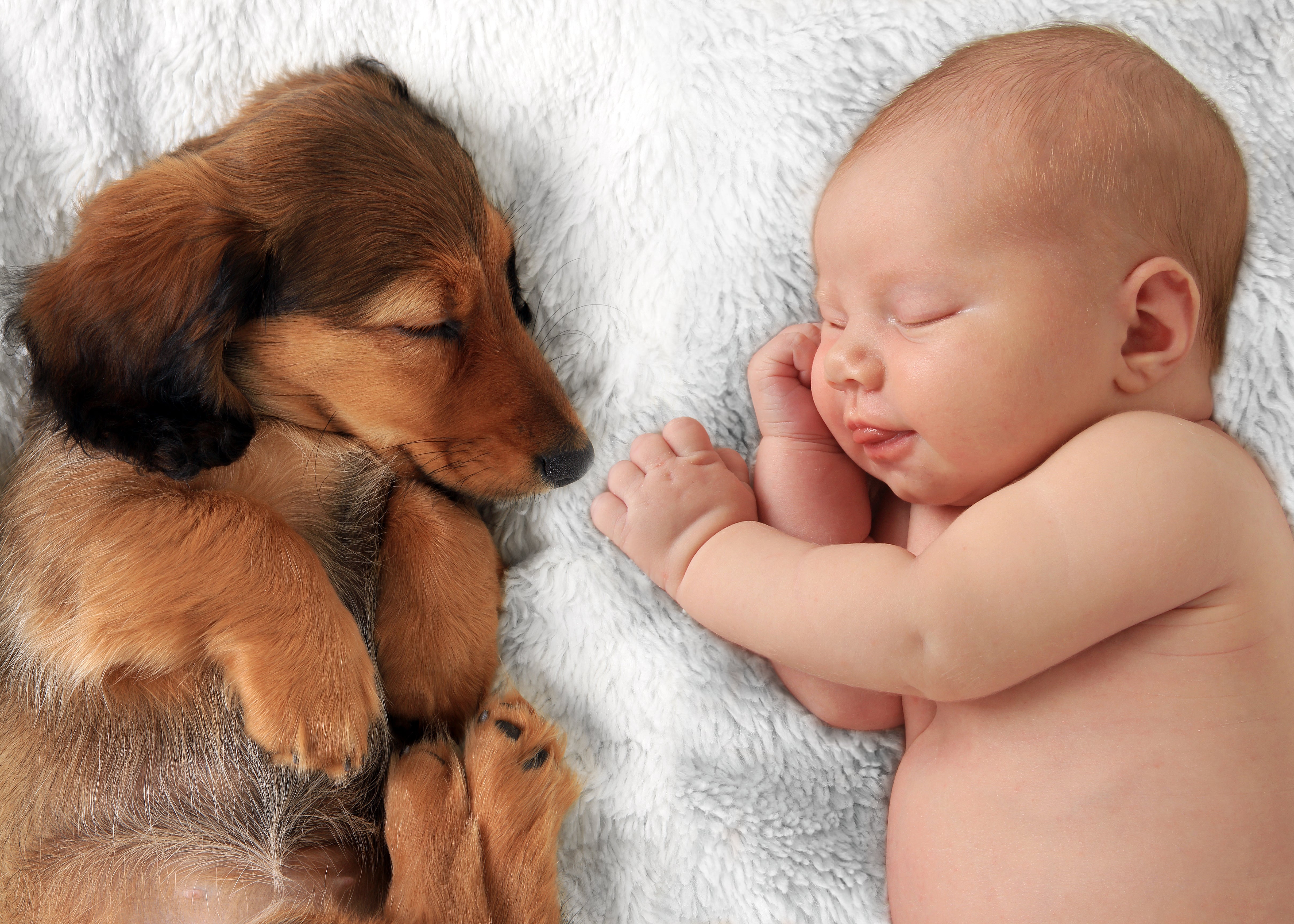 Benefits Of Dogs Around Babies