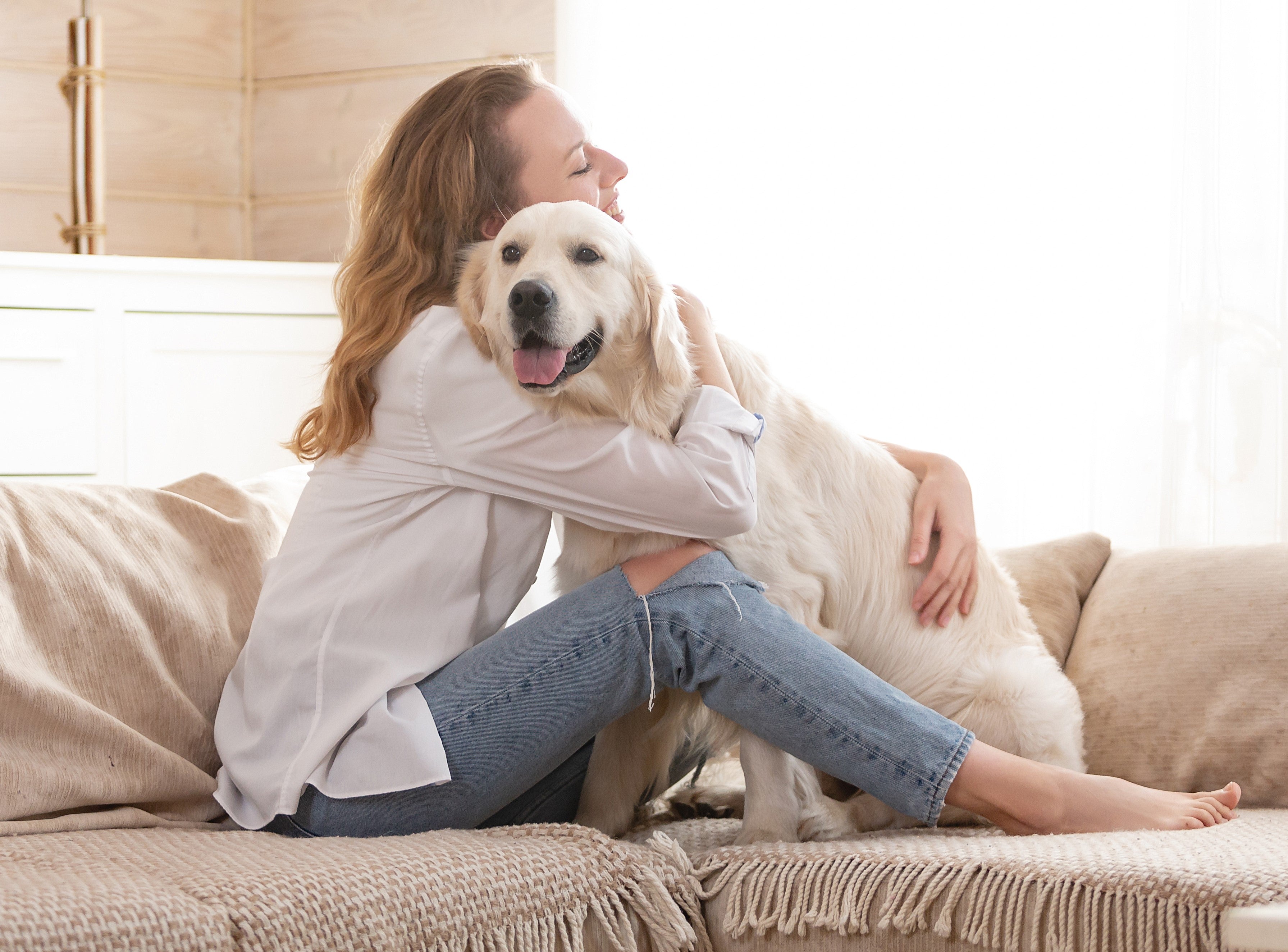 Best Breeds for Therapy Dogs
