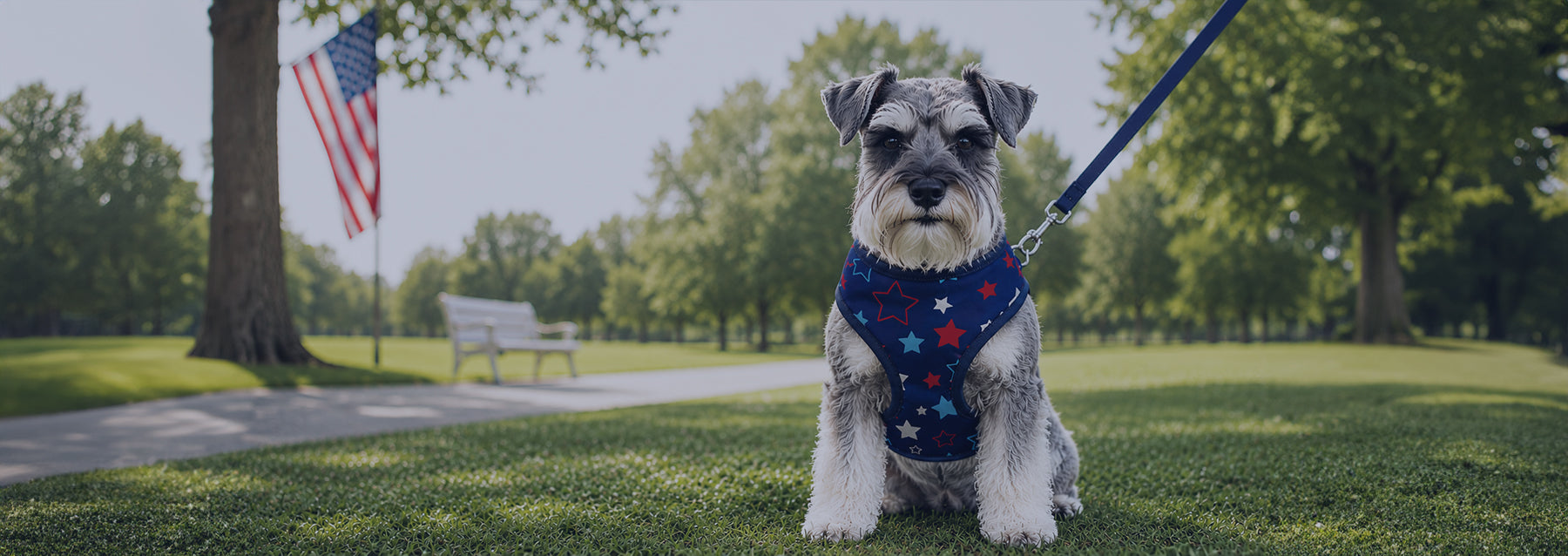 All American Pet Collection