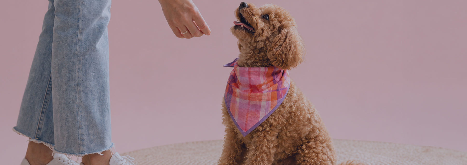 Bandanas