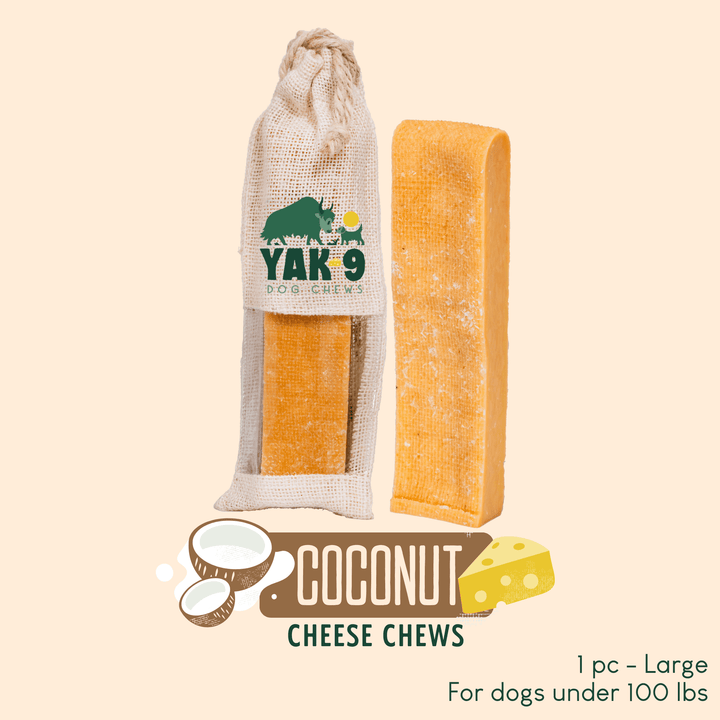 Coconut Cheese Chews for Dogs