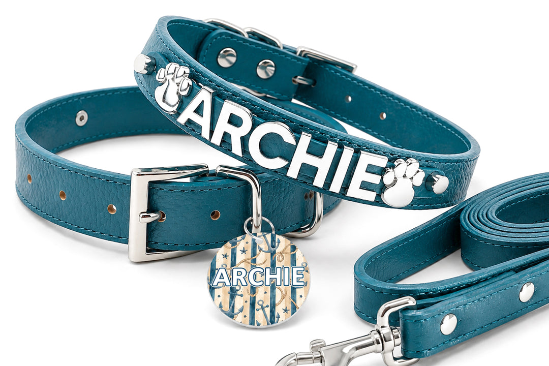 Tidewater Blue Chrome Pet Collar