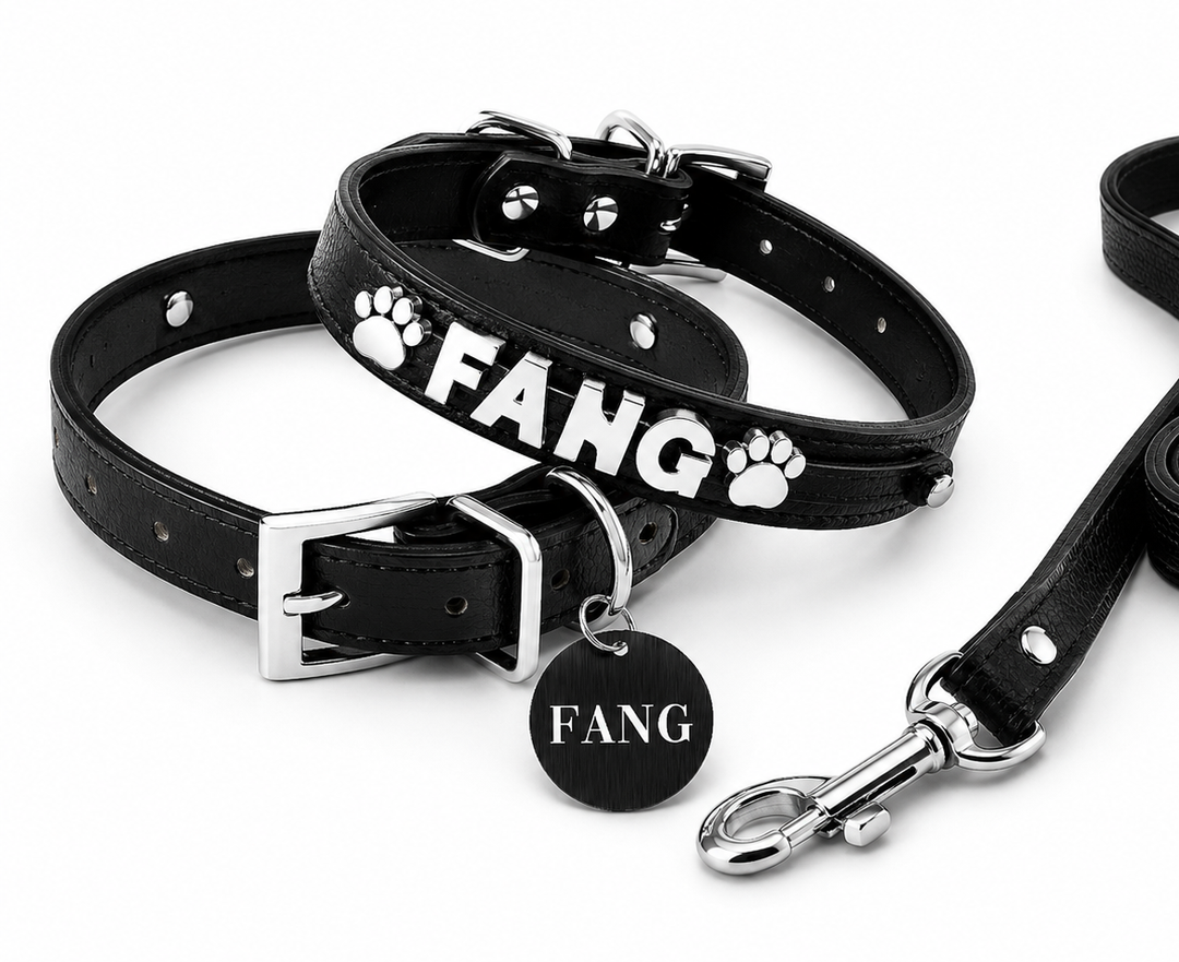 Collar | Black Croc