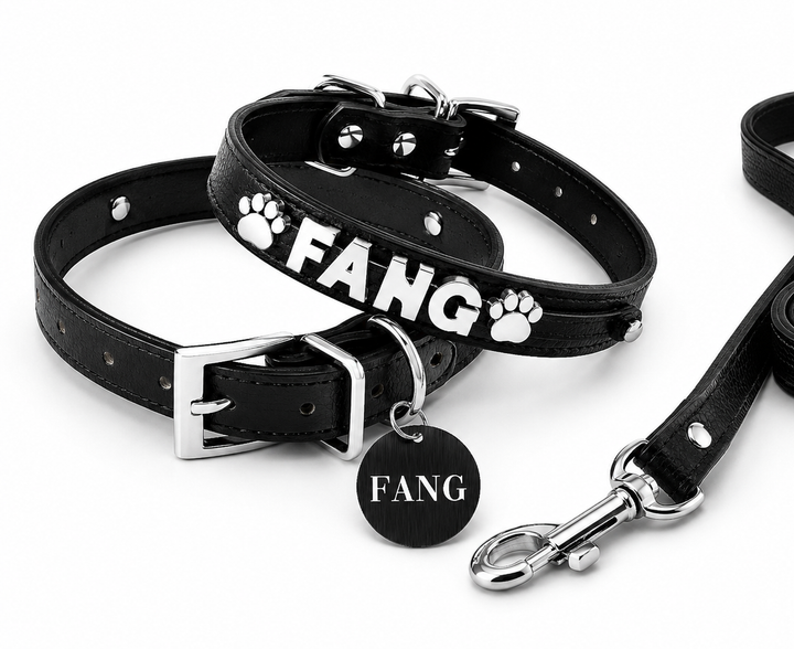 Collar | Black Croc