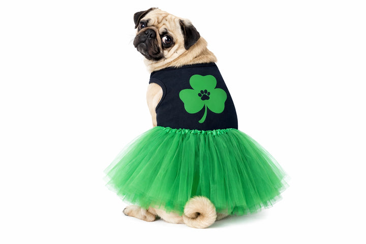 Lucky Clover Pet Outfit