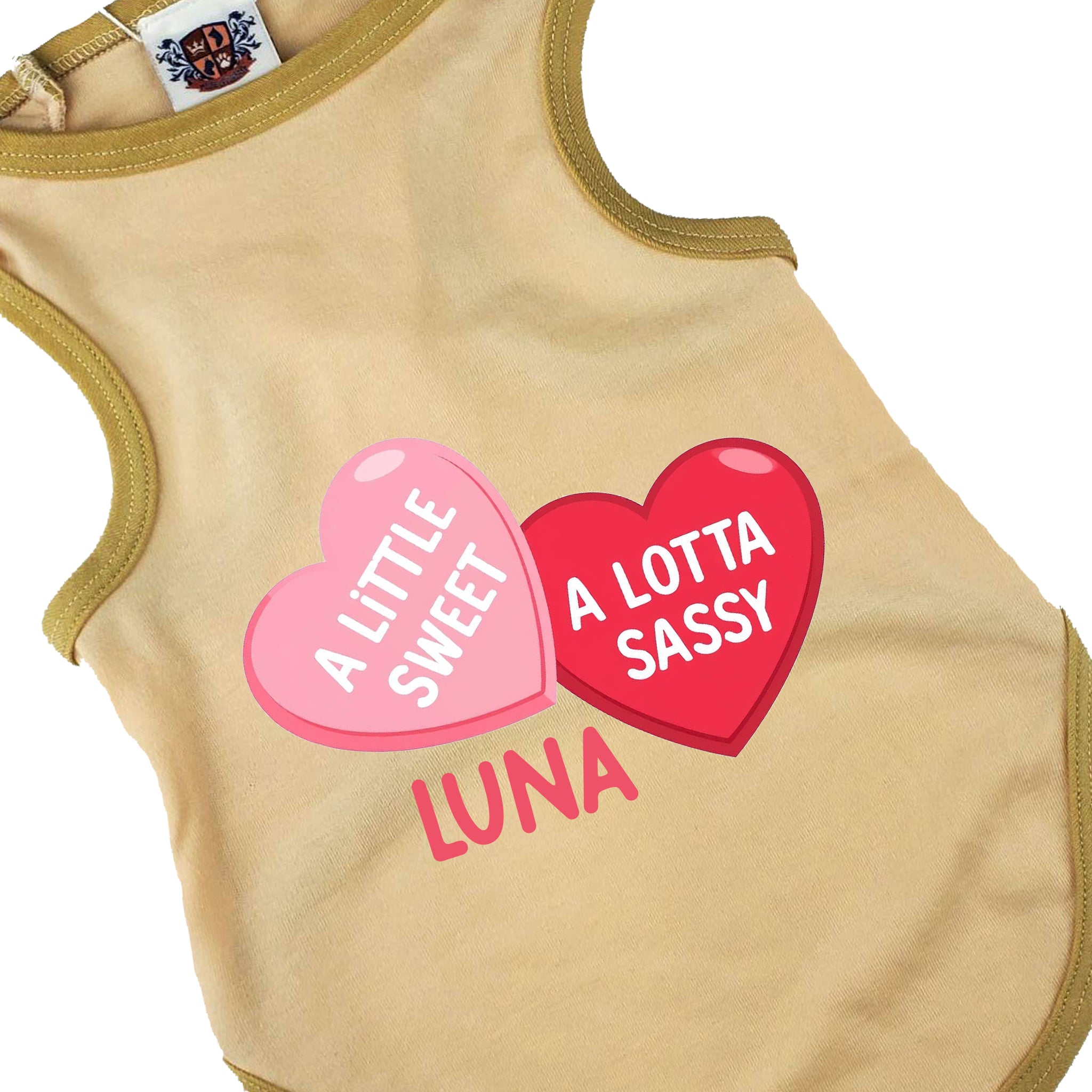 Dog Shirt | A Little Sweet A Lotta Sassy