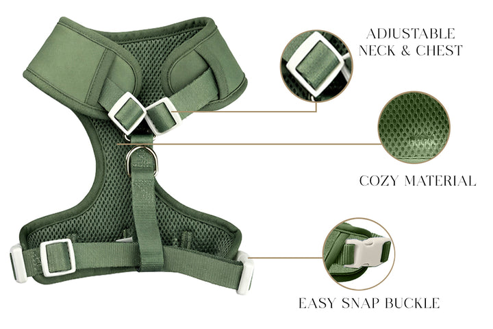 Argyle Clover Harness