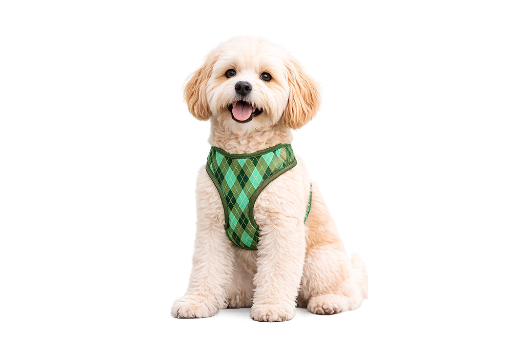 Argyle Clover Harness