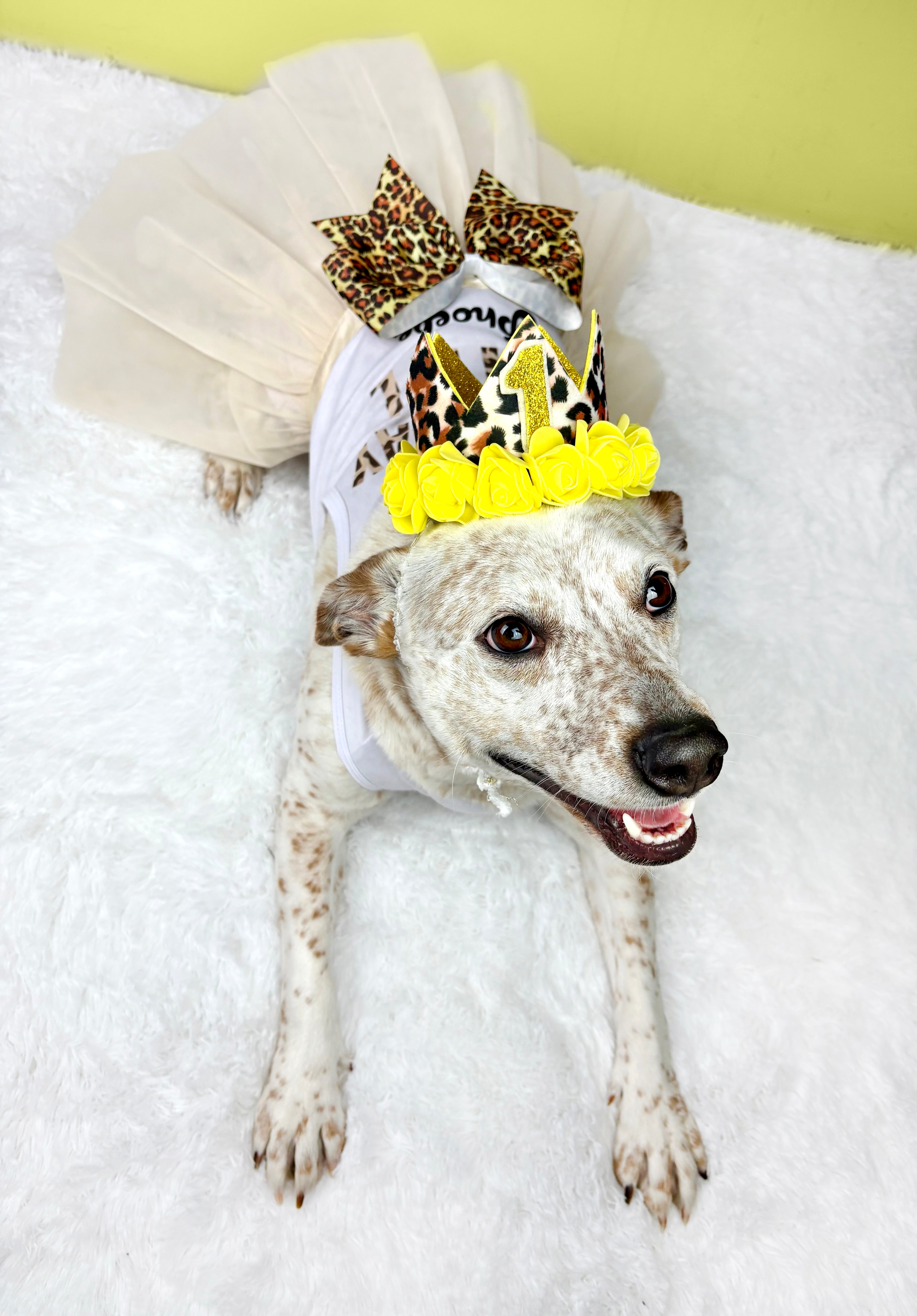 Personalized Birthday Girl Outfit | The Yellow Cheetah