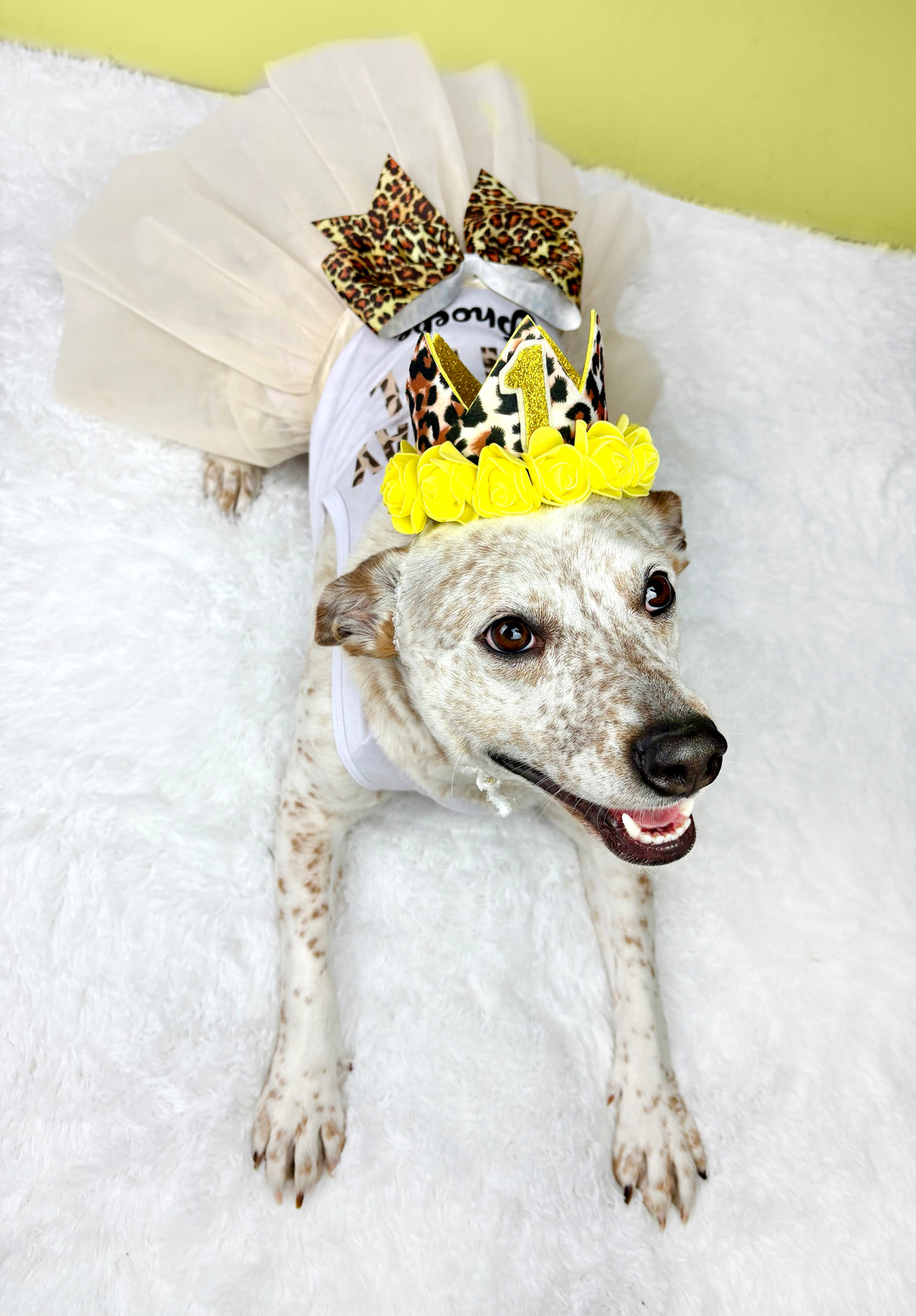Personalized Birthday Girl Outfit | The Yellow Cheetah