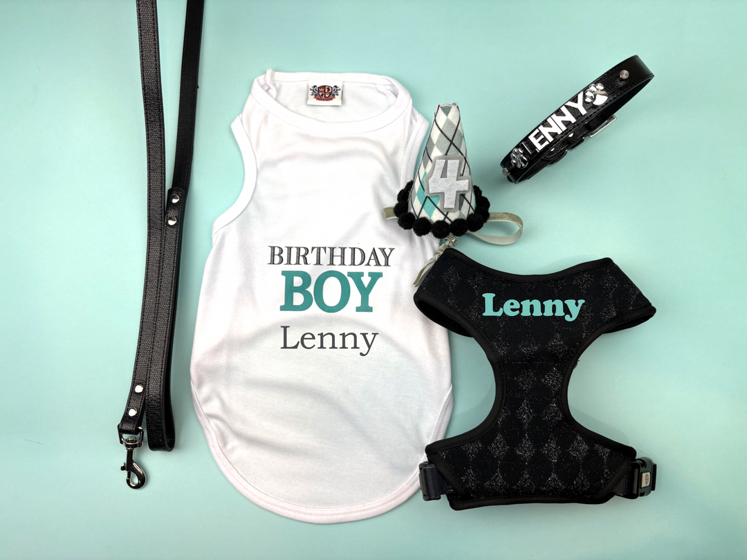 Personalized Birthday Blue Diamond Outfit Bundle