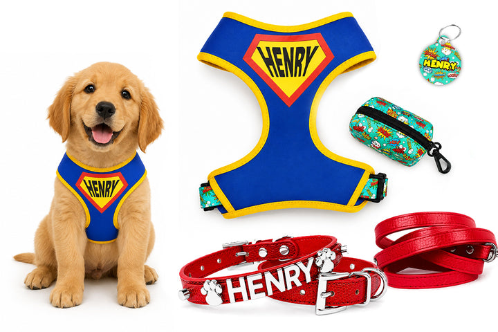 5 Piece Personalized Blue Superhero Puppy Bundle