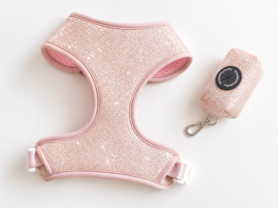 Ballet Blush Sparkle Harness