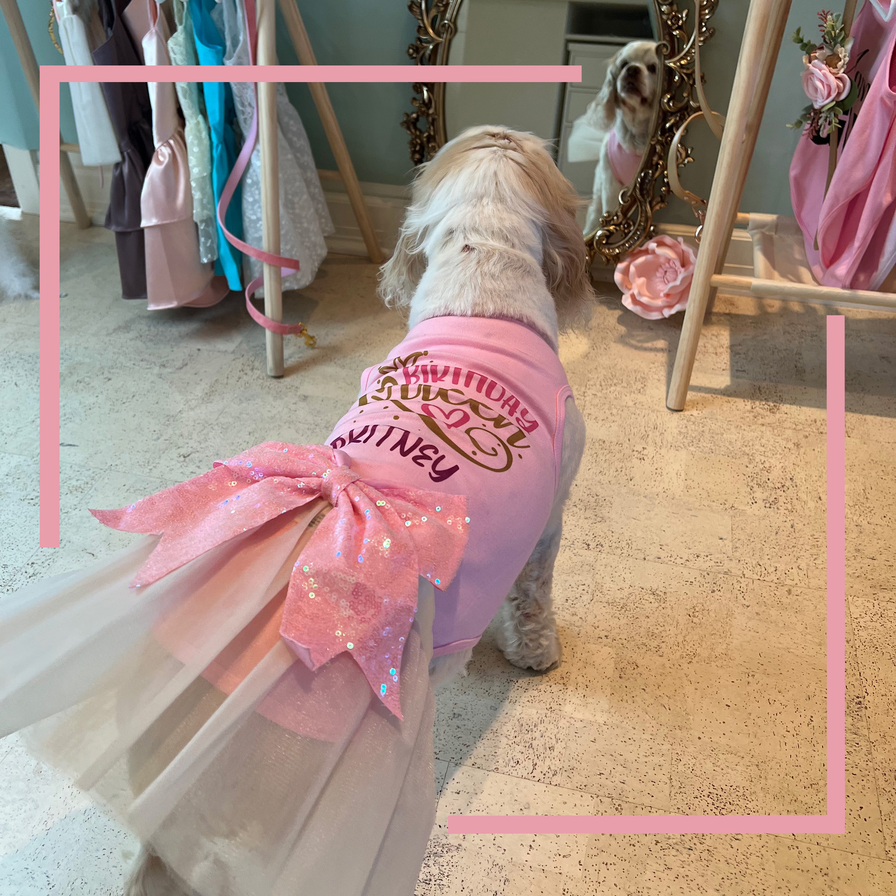 Birthday Queen Personalized Dog Outfit
