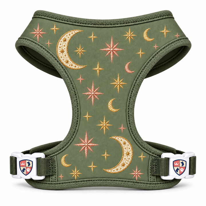 Whimsical Wizard Halloween Costume- PREORDER- SHIPS 10.8