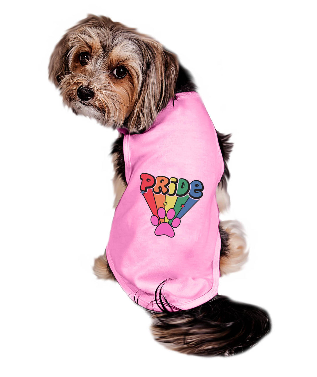 Retro Pride Paw Dog Tee