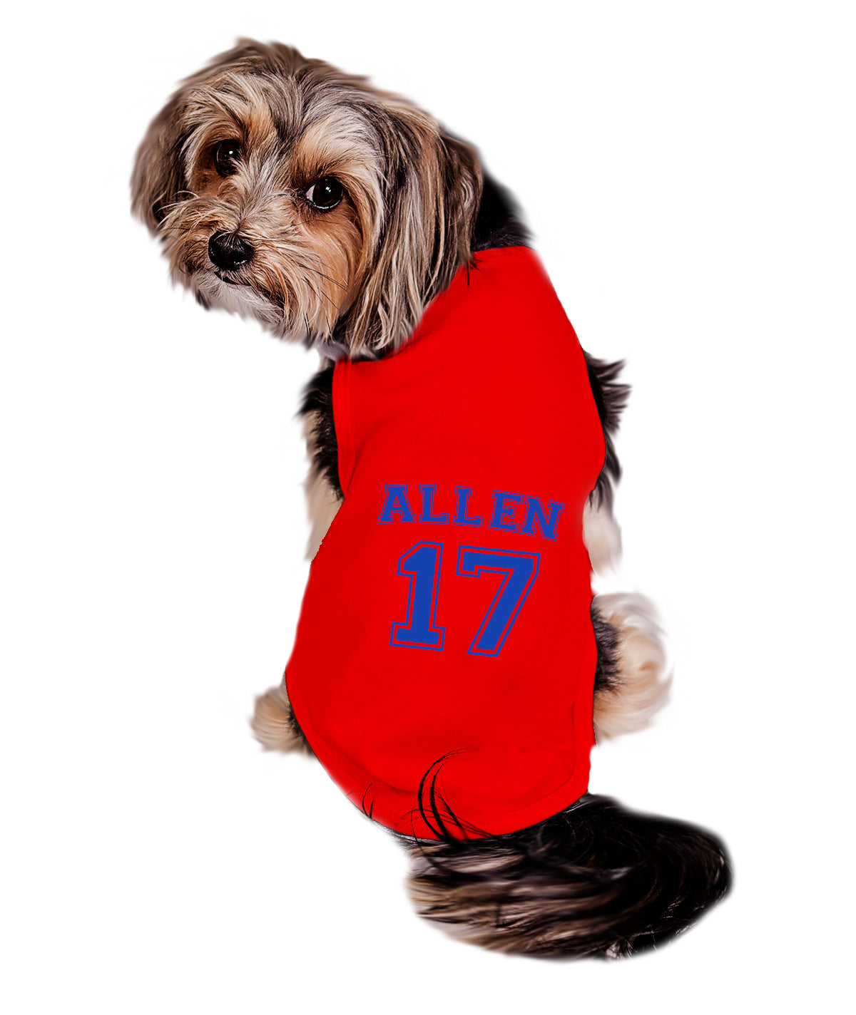 Personalized Dog Sports Jersey
