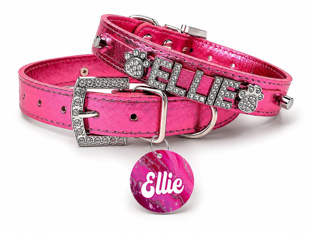 Personalized Collar | Metallic Rose with silver