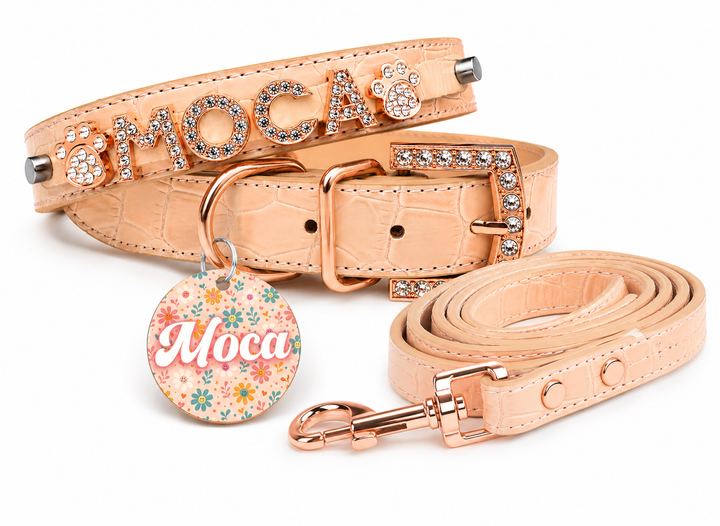 Sunset Rosé Personalized Pet Collar