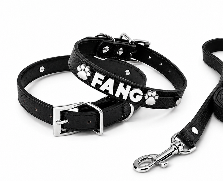 Collar | Black Croc