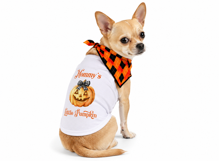 Halloween Dog Bandana Costume | Coquette Little Pumpkin