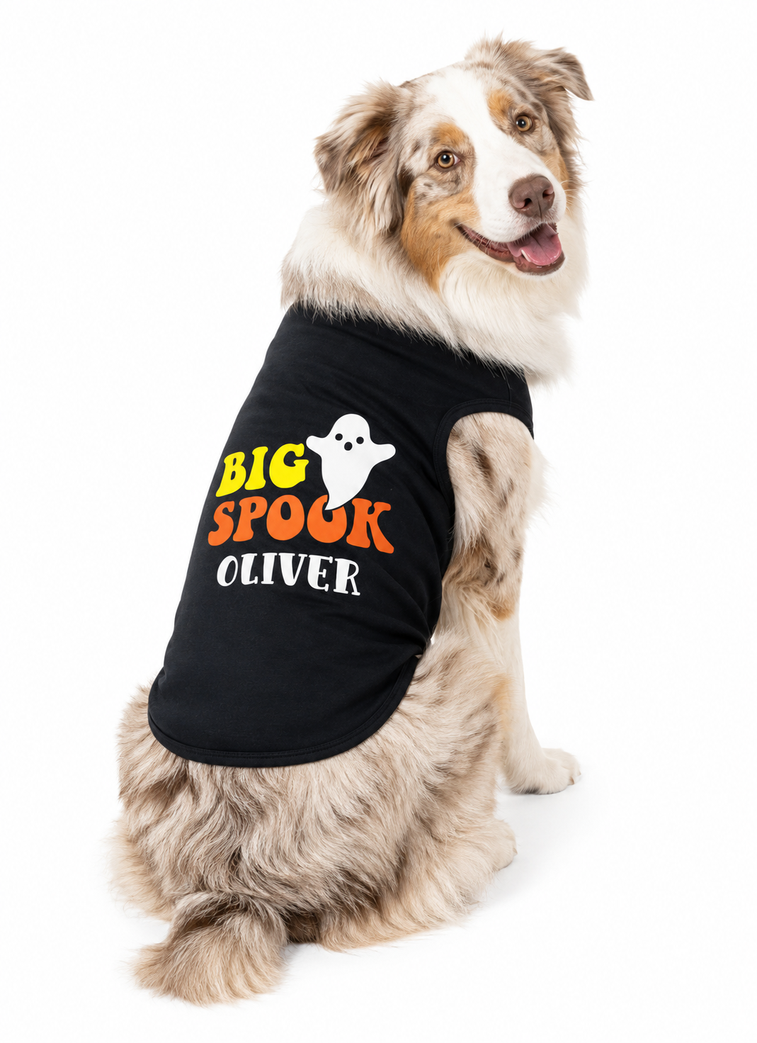 Halloween Dog Shirt | Big Spook