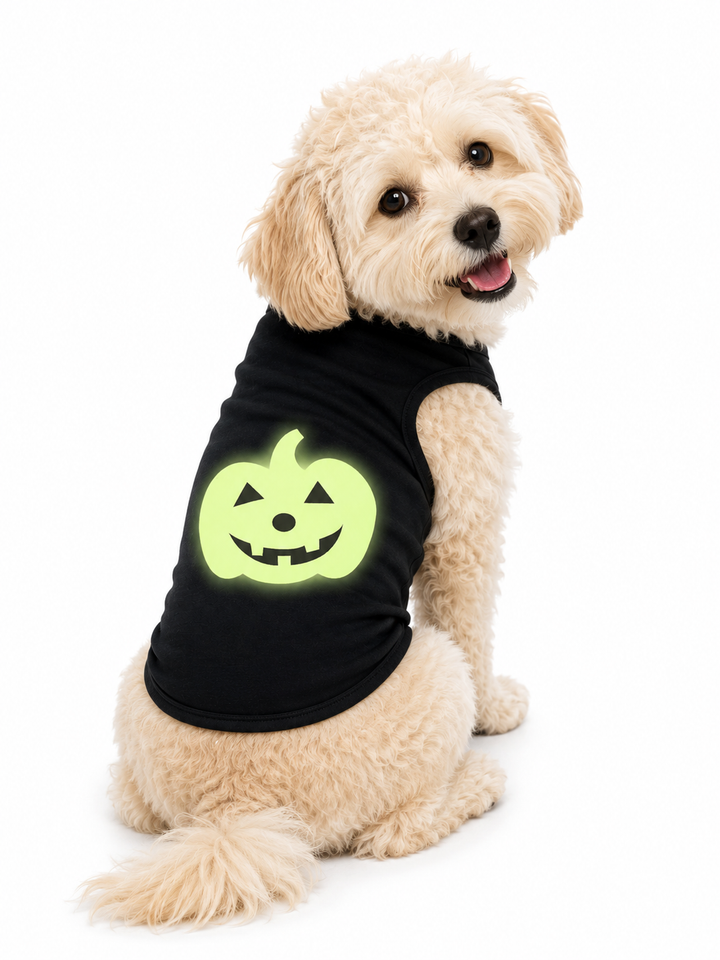 Halloween Dog Shirt | Glow In The Dark Pumpkin