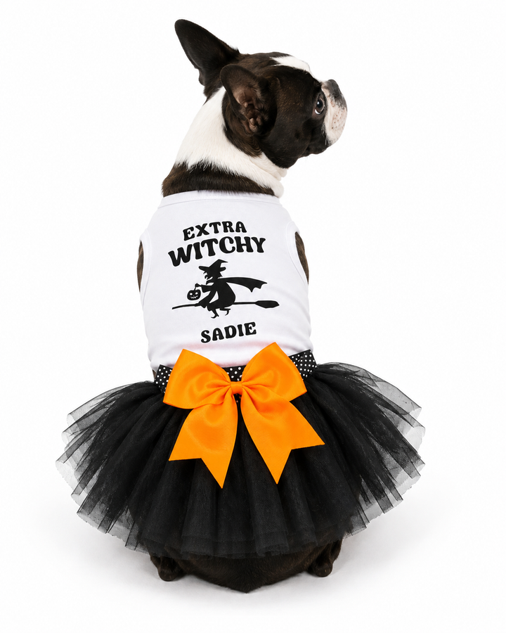 Halloween Dog Outfit | Extra Witchy Witch Dog Costume