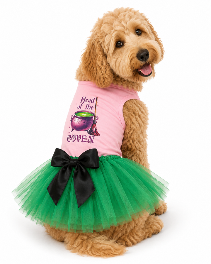 Halloween Dog  Costume | Head Of The Coven