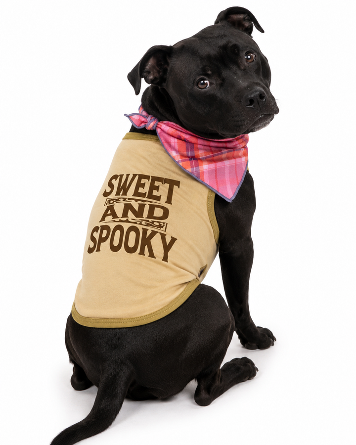 Halloween Dog Bandana Costume | Sweet & Spooky