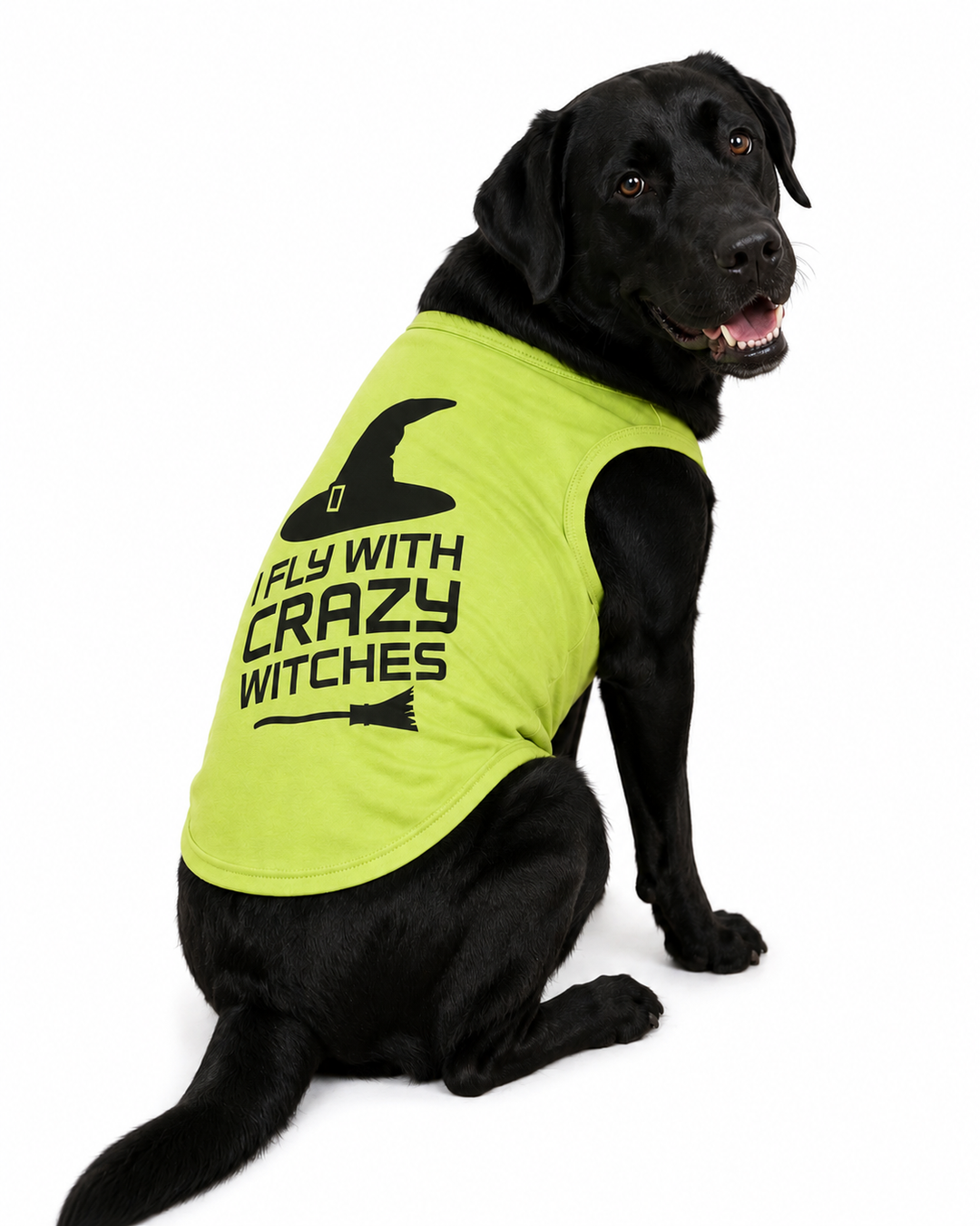 Halloween Dog Shirt | I Fly With Crazy Witches