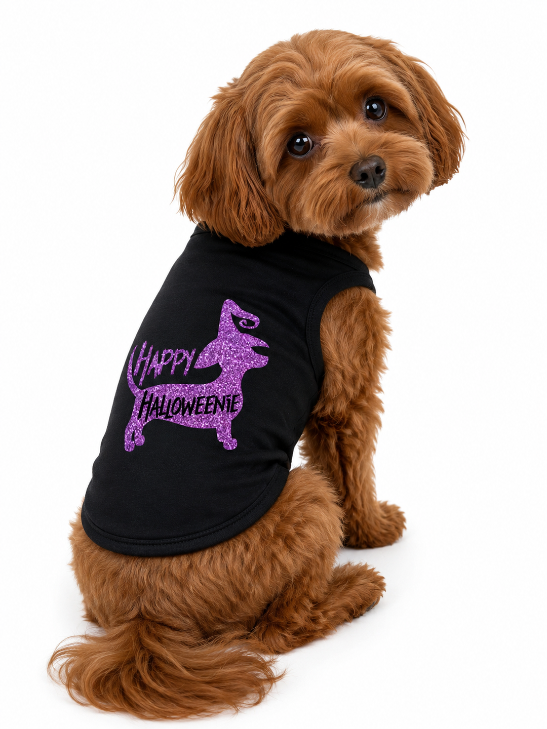 Halloween Dog Shirt | Happy Halloweenie