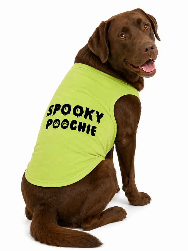 Halloween Dog Shirt | Spooky Poochie