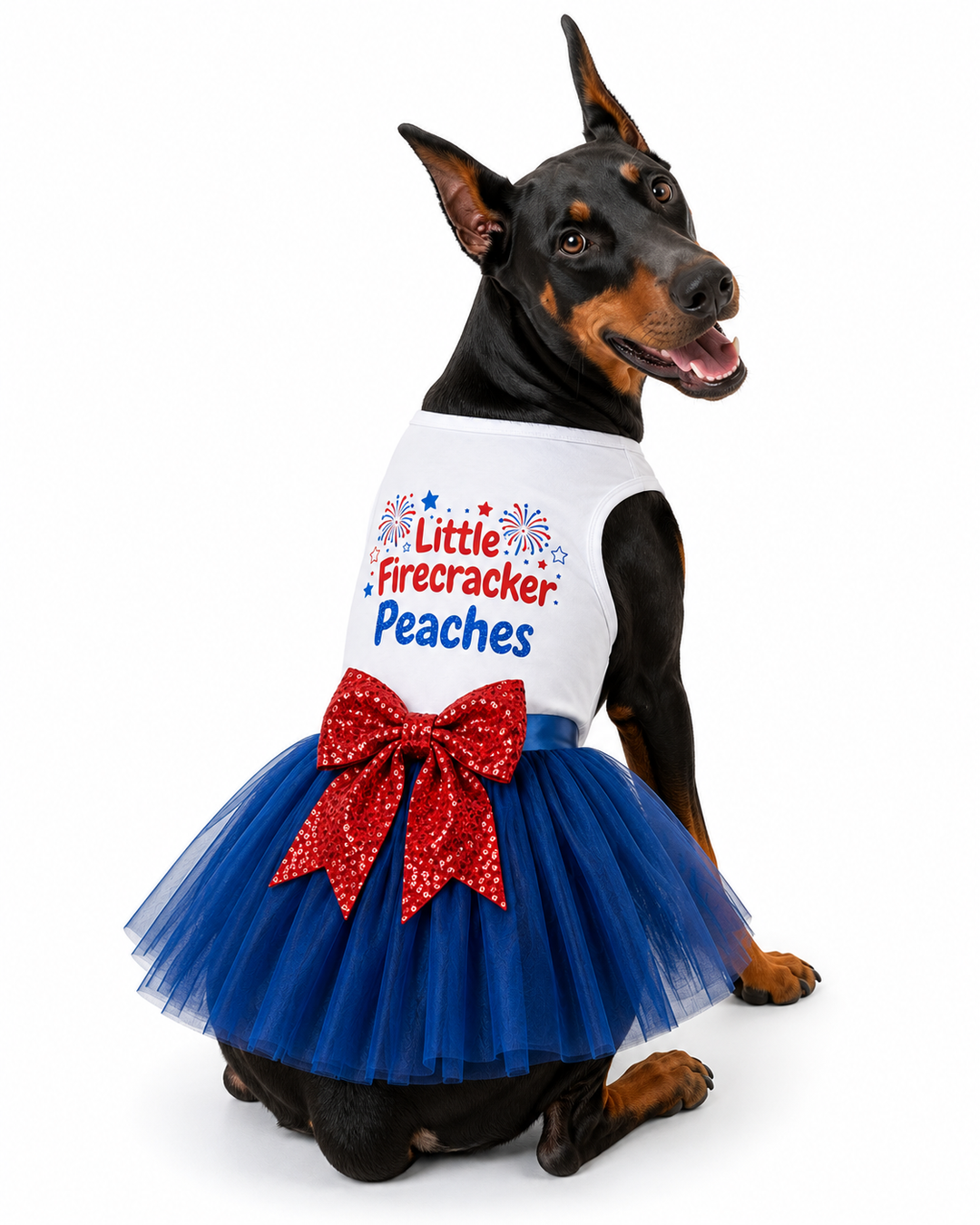 Personalized Little Firecracker Pet Outfit