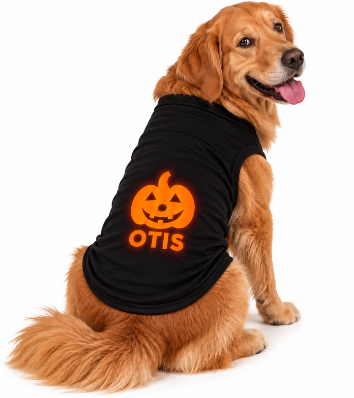 Orange Glow-in-the-Dark Jack-O’-Lantern Pet Tee