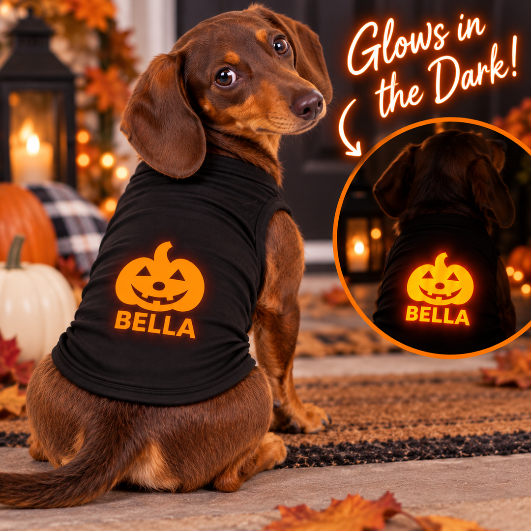 Orange Glow-in-the-Dark Jack-O’-Lantern Pet Tee