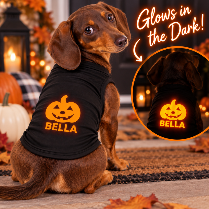 Orange Glow-in-the-Dark Jack-O’-Lantern Pet Tee