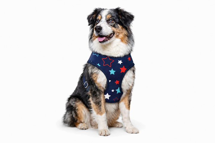Americana Stars Harness