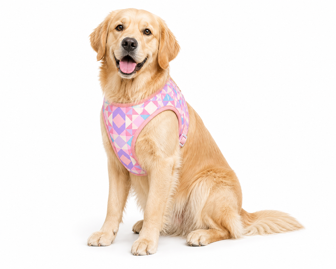 Low Country Dog Harness | Pastel Print Adjustable Pet Harness